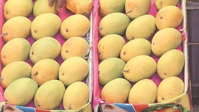 mango