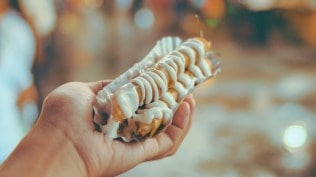 Mayonnaise, tamil nadi, indian express