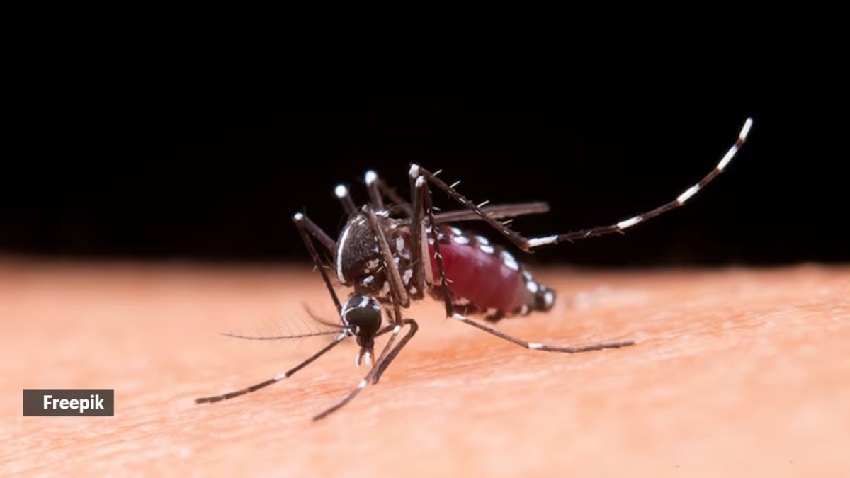 How far should you keep mosquito repellents from the bed?