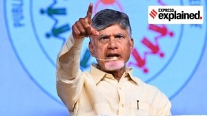 Naidu writes to Centre amid US tariffs trouble: Why the Andhra CM is worried