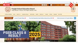 PSEB Class 8th result link