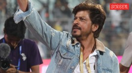 shah rukh khan kkr