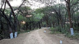 sukhna wildlife sanctuary, indian express