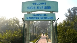 The festival, the first of which was in 2023, sees expert bird-watchers gather for two to four days in the forest area in January, and record birds.