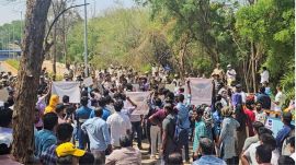 tree-felling, Kancha Gachibowli area, Telangana, supreme court