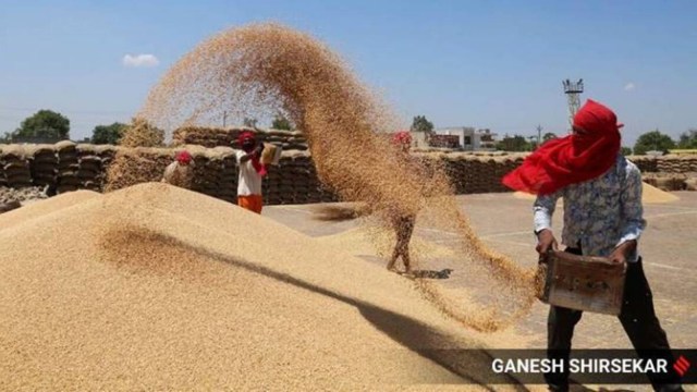 Wheat procurement, wheat production, Wheat procurement crisis, wheat, Lucknow news, Uttar pradesh news, Indian express, Current affairs