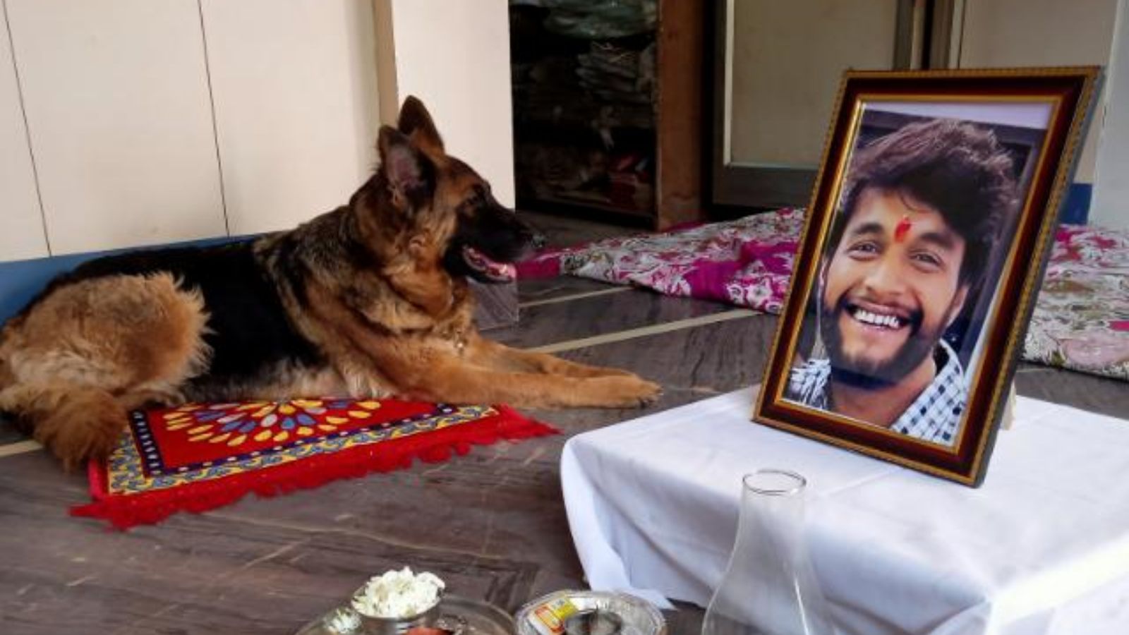 Porsche case: ‘There is not a day I do not shed tears for him’ | Pune News Porsche case: ‘There is not a day I do not shed tears for him’ | Pune News