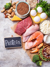 Protein sources