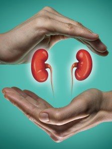 Why your 40s are crucial for kidney health