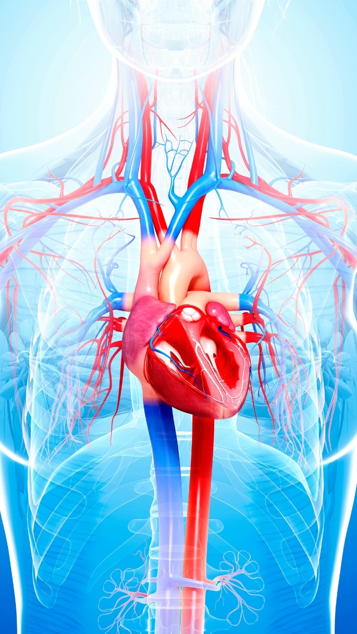 How you heart is at risk due to alarms