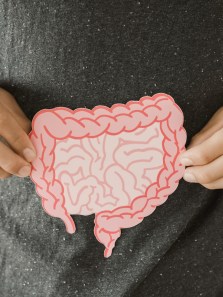 Is your gut trying to tell you something? Key signs to watch