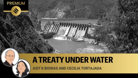 A dam on the Indus river system, in Jammu and Kashmir's Reasi. (Photo: PTI)