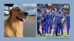 Nita Ambani also encouraged the team to stay 'as happy as it can be'