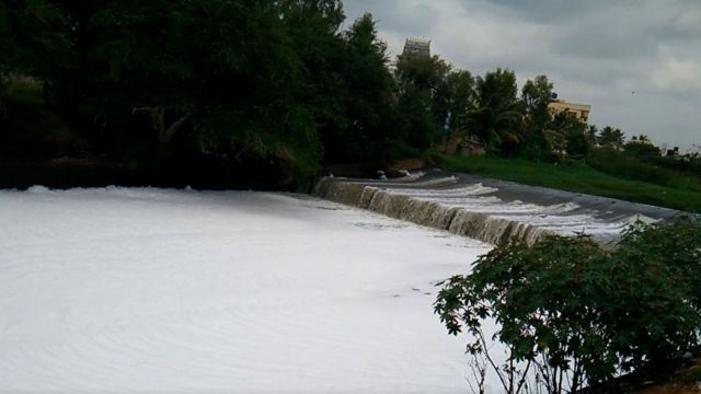 Bellandur lake, Bengaluru pollution