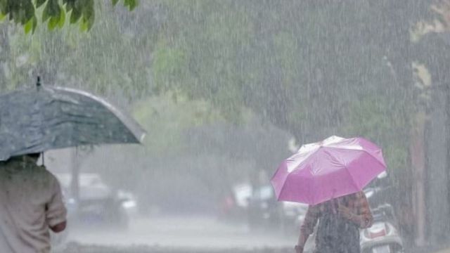Mahuva records highest at 170 mm; Ahmedabad wakes up to flooded underpasses, uprooted trees