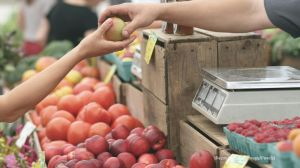 The IITian in her X post, mentioned that her grocery bills in Bengaluru are getting “unusually high.” (Representative image/Pexels)