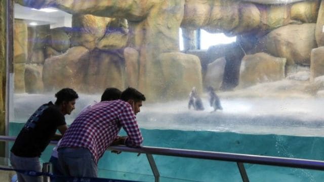 Byculla zoo