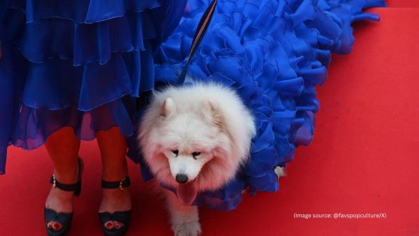 In 2023, Felicity made her Cannes debut at a screening of Project Silence