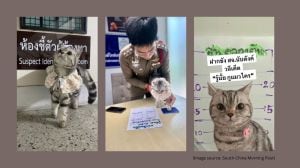 The police made the cat sign the report with two tiny paw prints and even posed for a mugshot