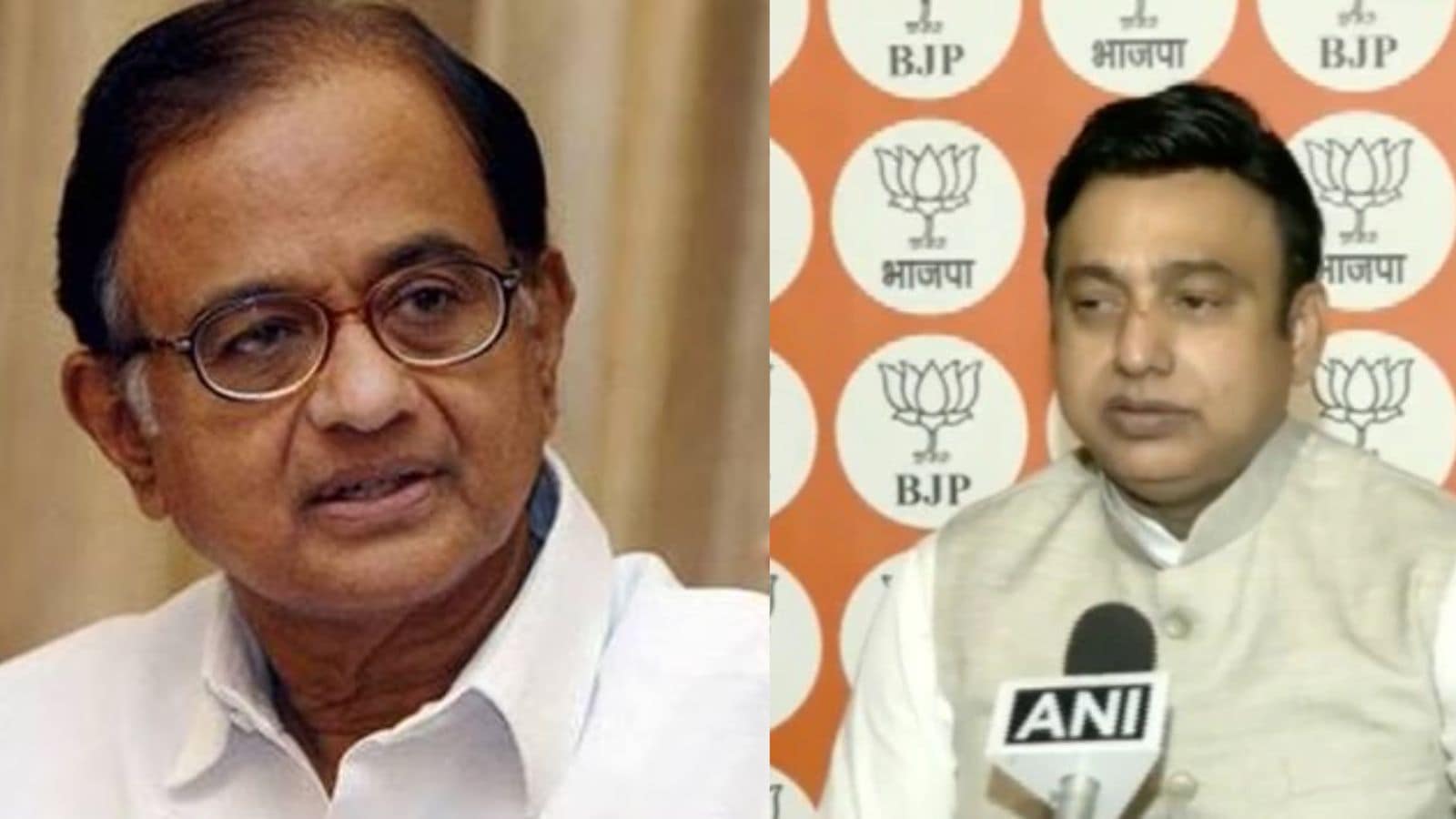 BJP Slams Opposition Alliance Following Chidambaram's Doubts on Bloc