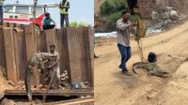 Crocodile-Rescued-Ahmedabad