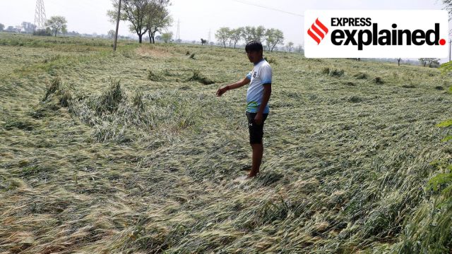 crop insurance scheme maharashtra