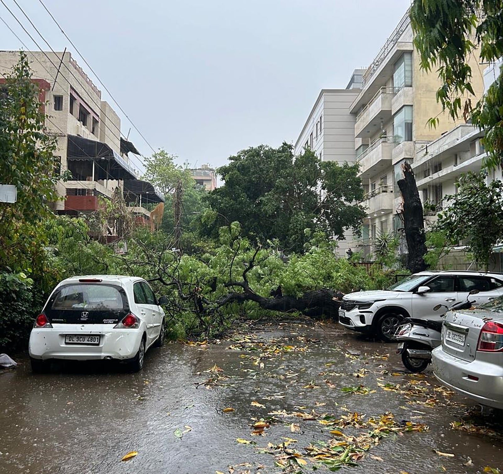 Several cars damaged after a tree uprooted in Safdarjung Enclave on Friday morning because of the strong winds