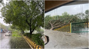Trees uprooted at Aurobindo Marg (left) and Sector 62 in Noida as heavy rain and thunderstorms hit the Delhi-NCR region