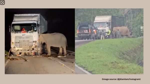 As dawn breaks, the video shows a long queue of vehicles in the area, waiting for rescuers to intervene (Image source: @jklamlam/Instagram)