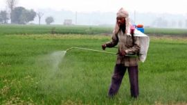Farmers-Agricultural-land-Potash-Reserves-Punjab
