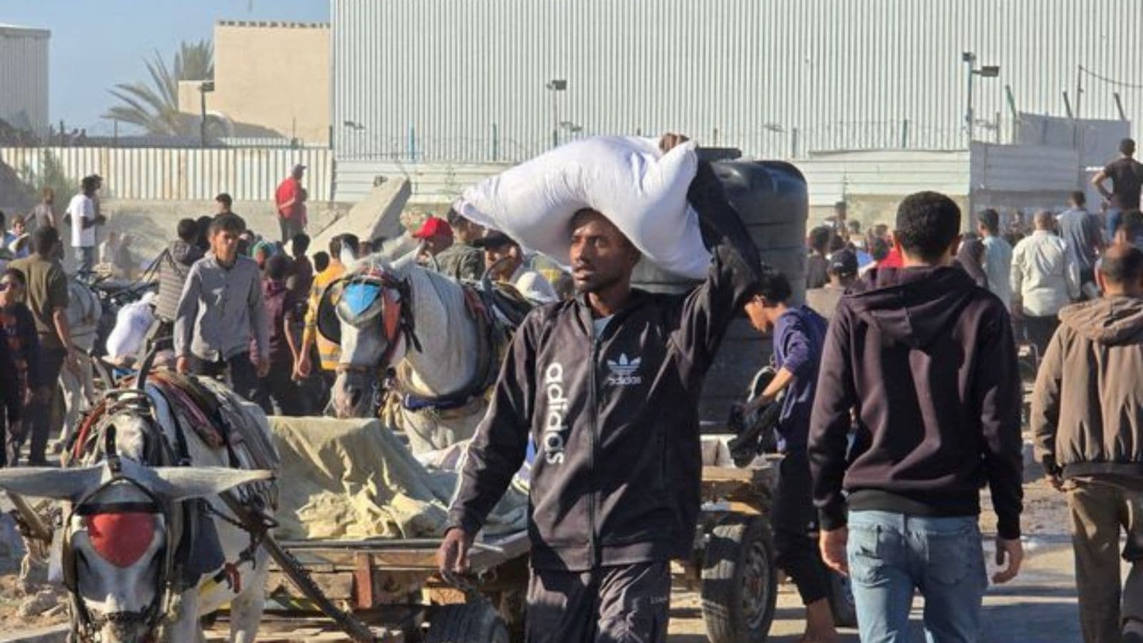 Gaza, world news, indian express