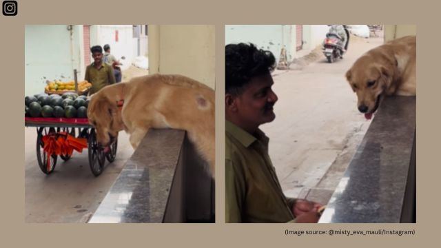 The video has over 6 million views