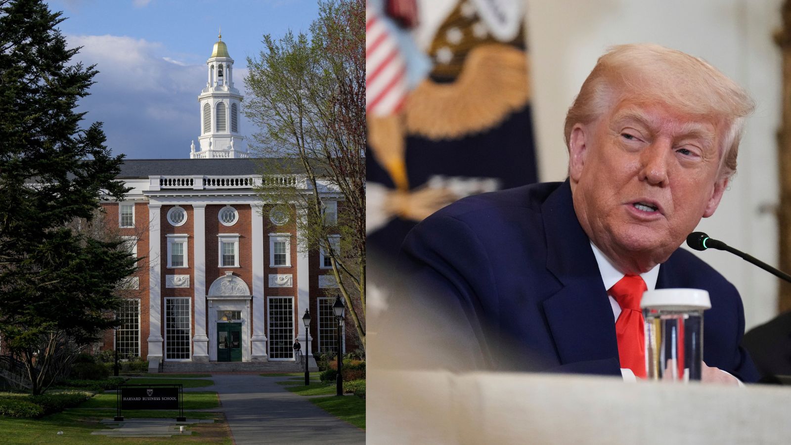 US judge blocks Trump administration decision to bar foreign student  enrolment at Harvard
