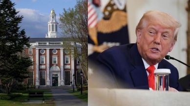 Harvard Trump