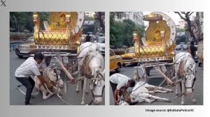 Following public outrage and PETA's complaint, Kolkata Police shared that an FIR was filed against the horse’s handler