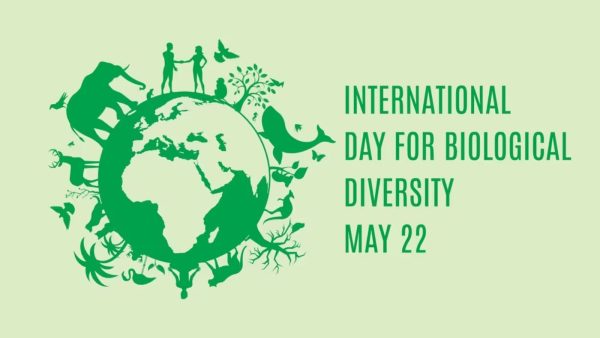 International Day of Biological Diversity 2025: Annually celebrated on May 22 every year, know the theme, history, and significance behind the day. (Source: Shutterstock)