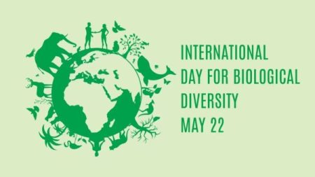 International Day of Biological Diversity 2025: Annually celebrated on May 22 every year, know the theme, history, and significance behind the day. (Source: Shutterstock)