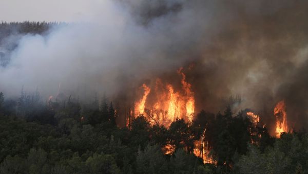 Jerusalem wildfires