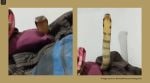 In the video, a king cobra can be seen gliding slowly across a man’s legs