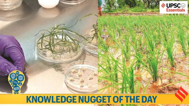 Knowledge Nugget: How is the world’s first genome edited (GE) rice varieties relevant for UPSC Exam