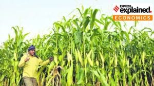 ethanol
