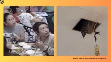The viral clip captured the shocking moment as customers looked up in horror, with one woman jumping from her seat and clutching a friend in fear (Image source: @circularxmedia/Instagram)
