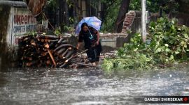 Mumbai-Rains-Tress-fall
