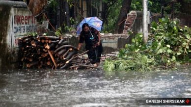 Mumbai-Rains-Tress-fall