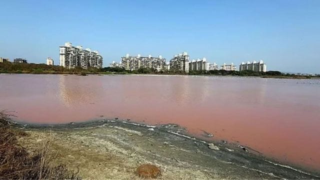Mumbai lakes water stock