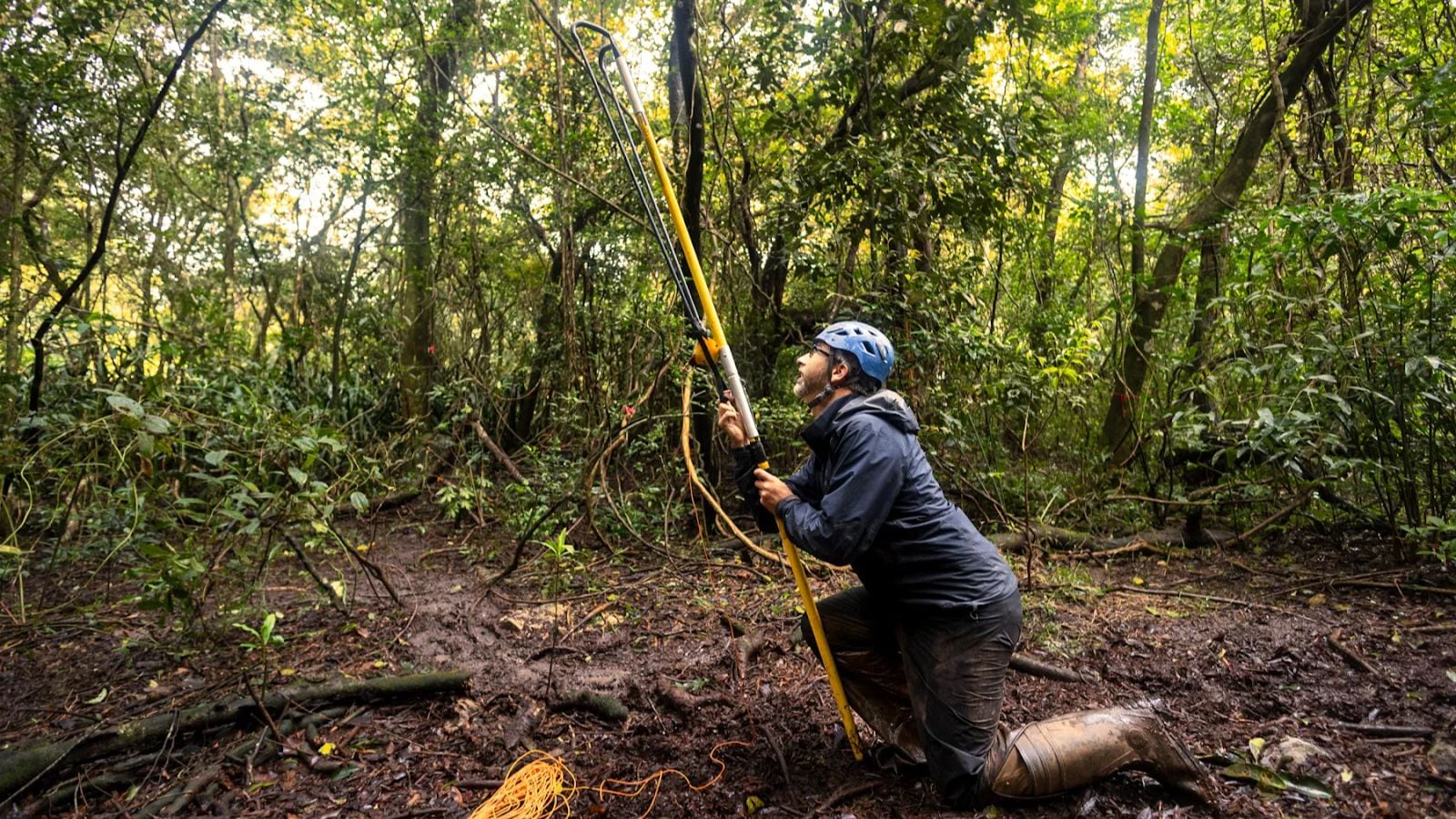 NASA research, volcano eruption, carbon dioxide effect on trees