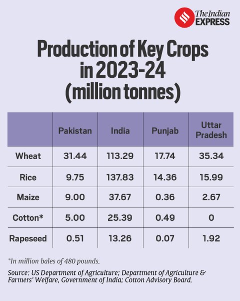 Production of Key Crops in Pakistan