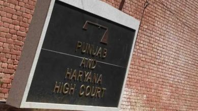 punjab hc