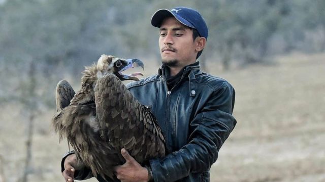 Radheshyam Bishnoi Great Indian Bustard