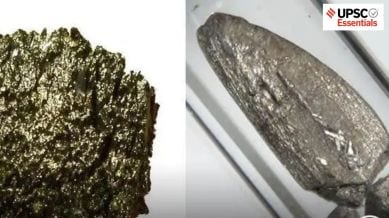 Rare Earth Elements